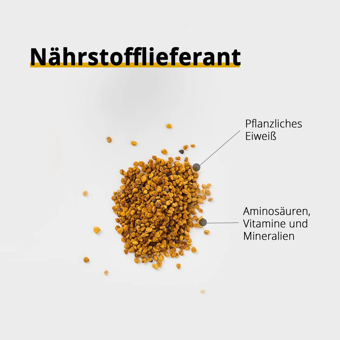 Blütenpollen