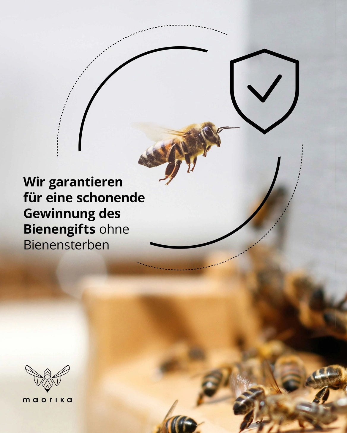 Bienengiftsalbe mit Manuka-Öl 100 ml.